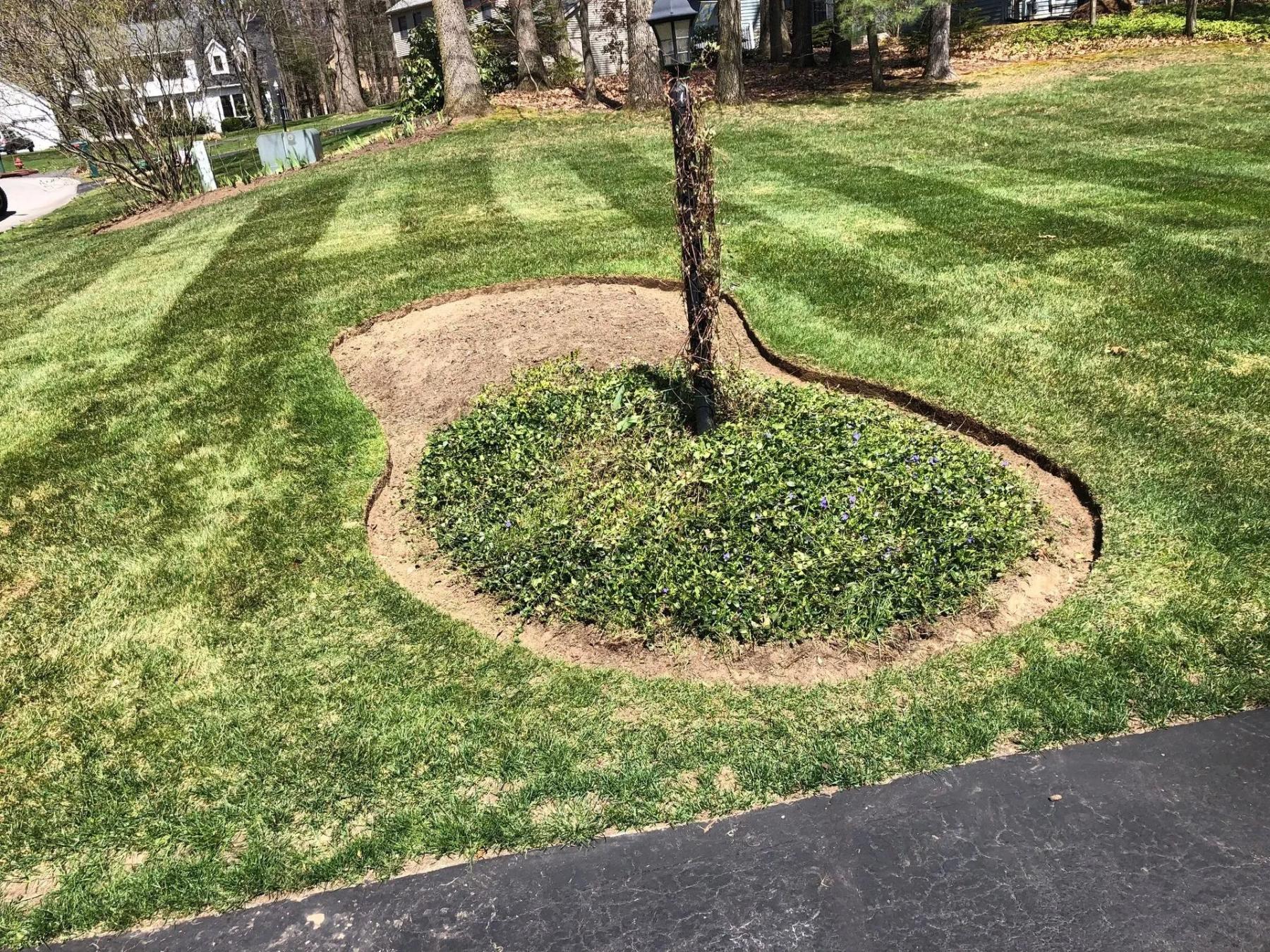 platinum-property-care- (16)