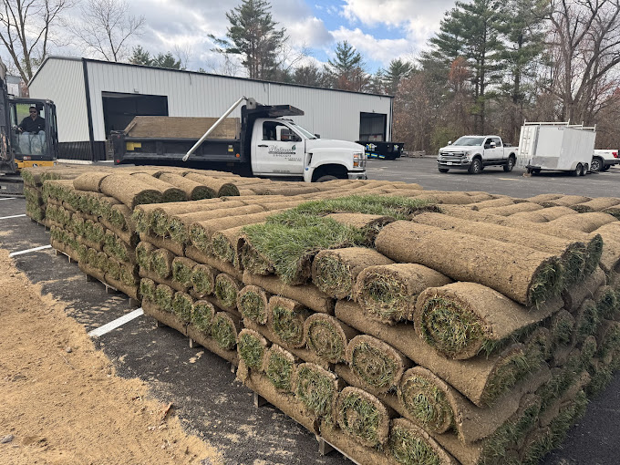 platinum-property-care-sod