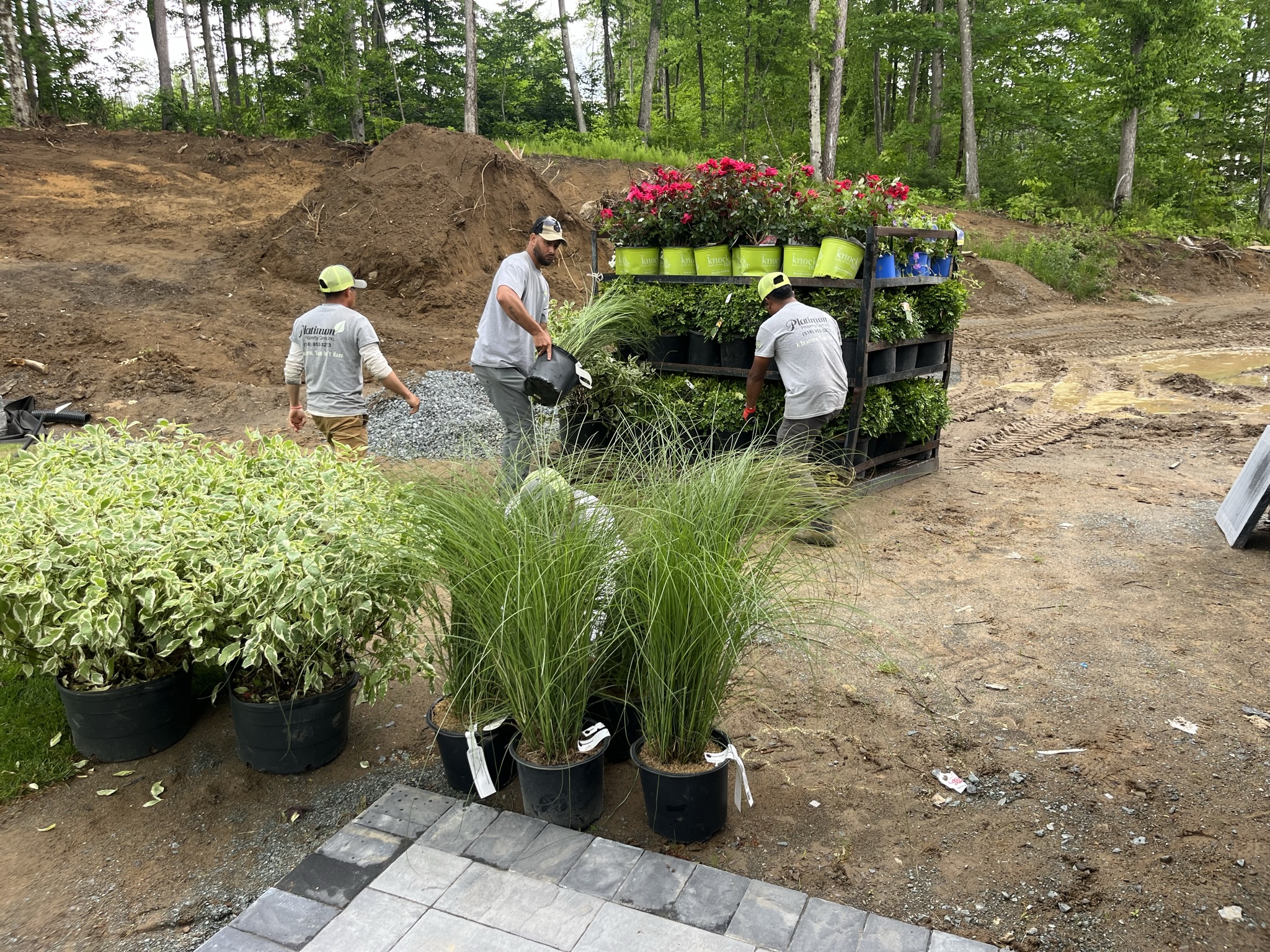 4Job Plants